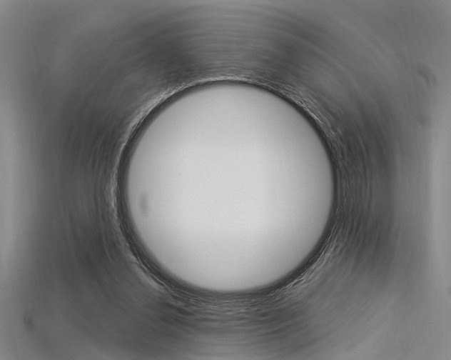 X0000115830252200911131133