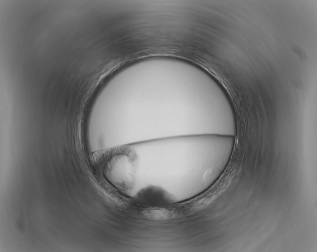 X0000115830253200911131133