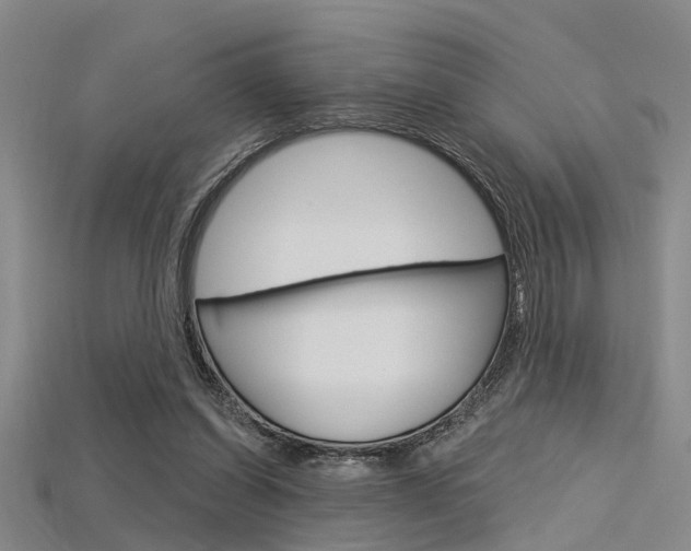 X0000115830254200911131133