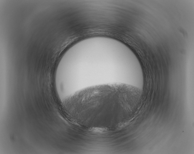 X0000115830255200911131133