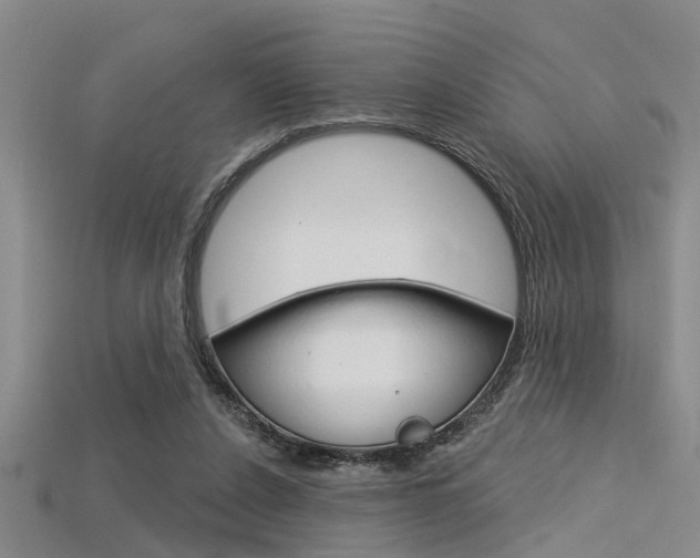 X0000115830256200911131133