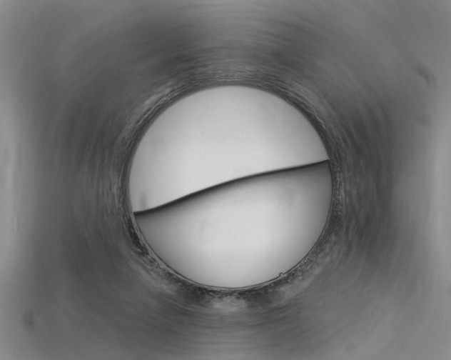 X0000115830258200911131133