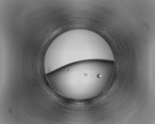 X0000115830260200911131133