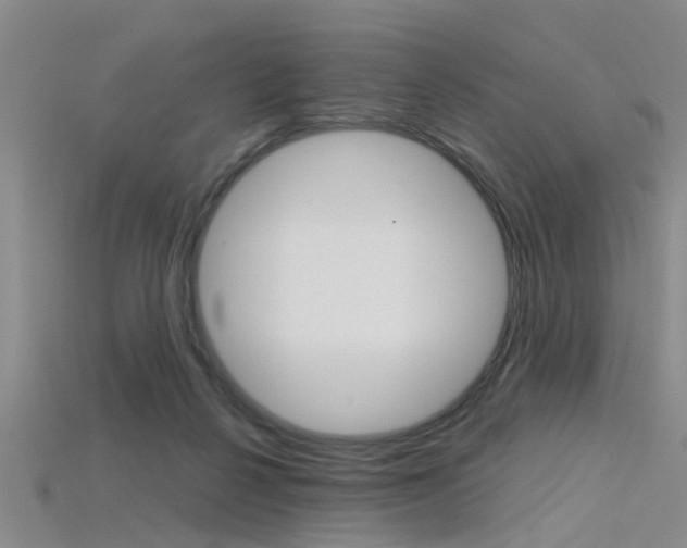 X0000115830264200911131133