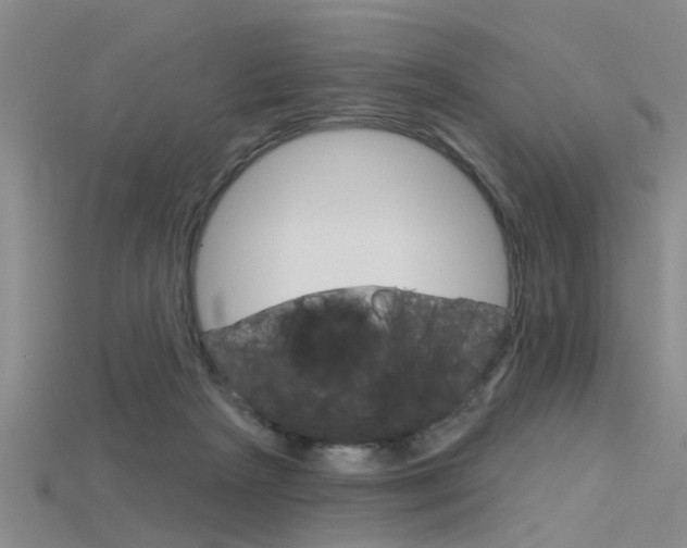 X0000115830265200911131133