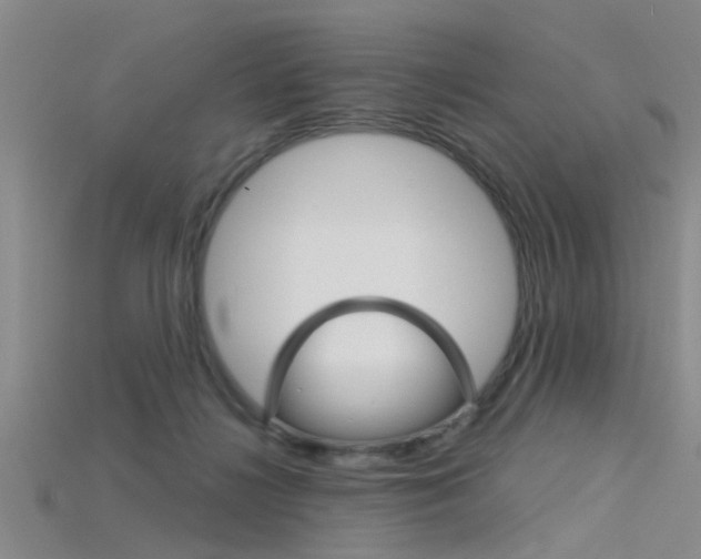 X0000115830268200911131133