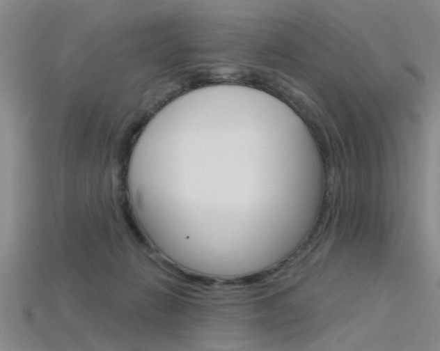 X0000115830270200911131133