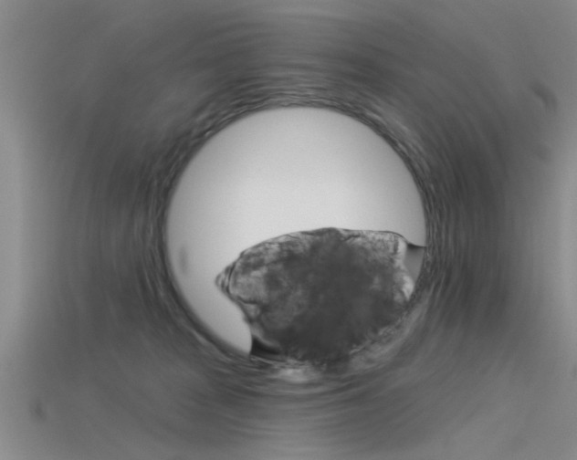 X0000115830277200911131133