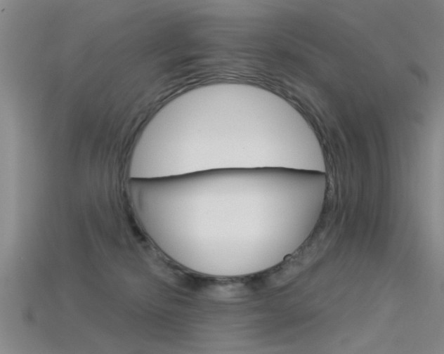 X0000115830278200911131133
