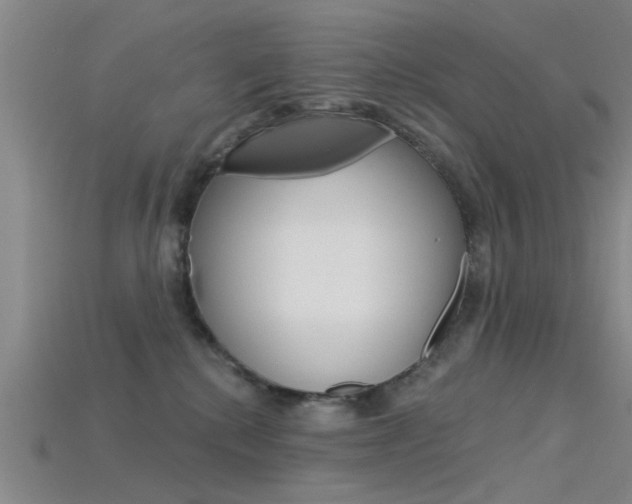X0000115830280200911131133