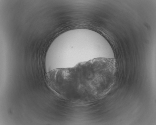 X0000115830281200911131133