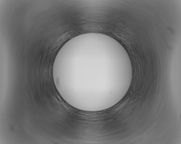 X0000115830288200911131134