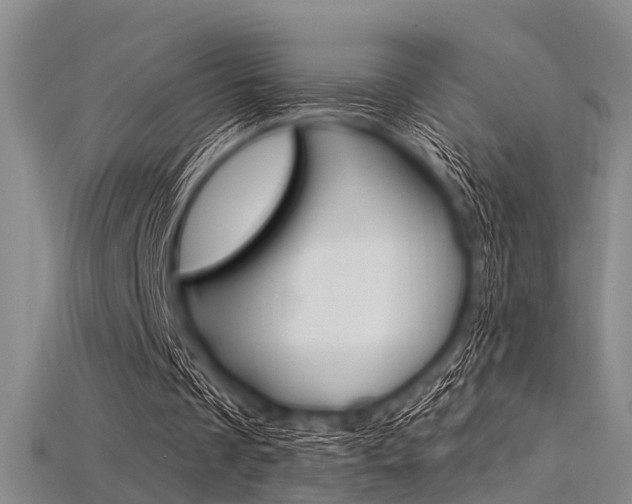 X0000115830289200911131133