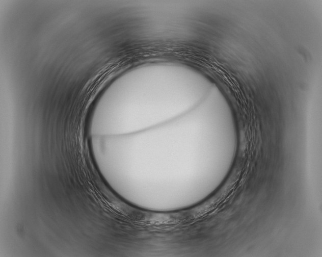 X0000115830290200911131133