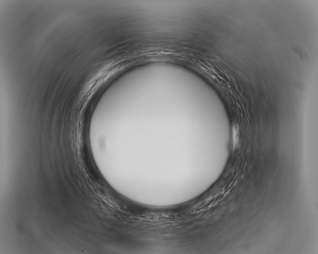 X0000115830291200911131133
