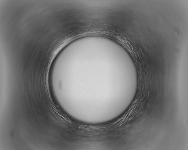 X0000115830292200911131133