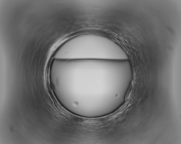 X0000115830294200911131133