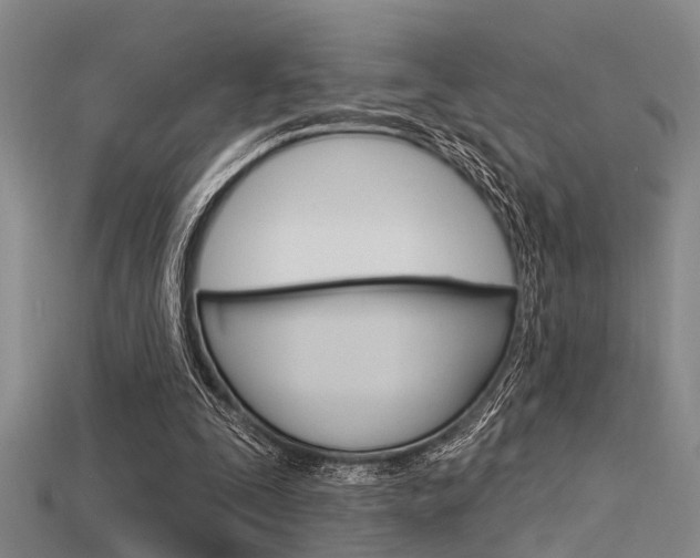 X0000115830295200911131133