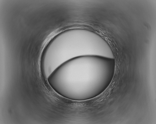 X0000115830296200911131133