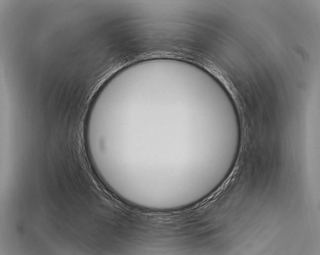 X0000115830297200911131133