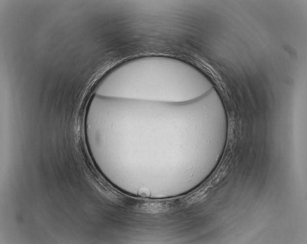 X0000115830298200911131133