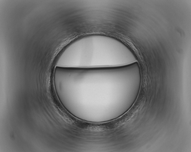 X0000115830299200911131133