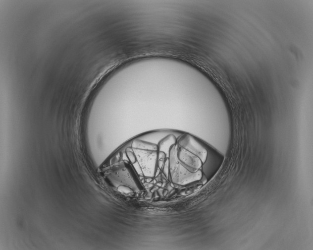 X0000115830300200911131133