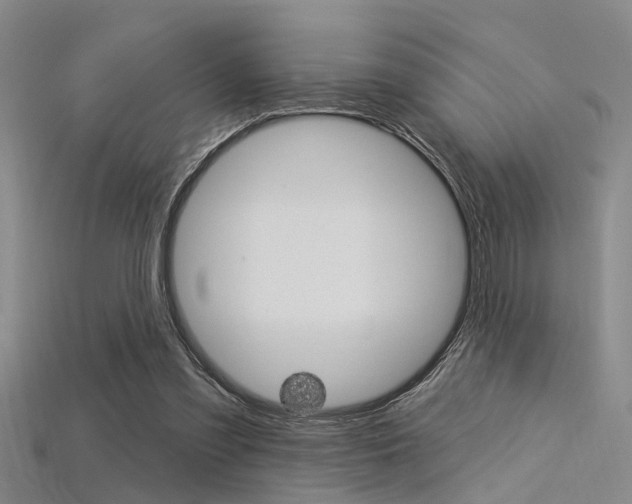 X0000115830301200911131133