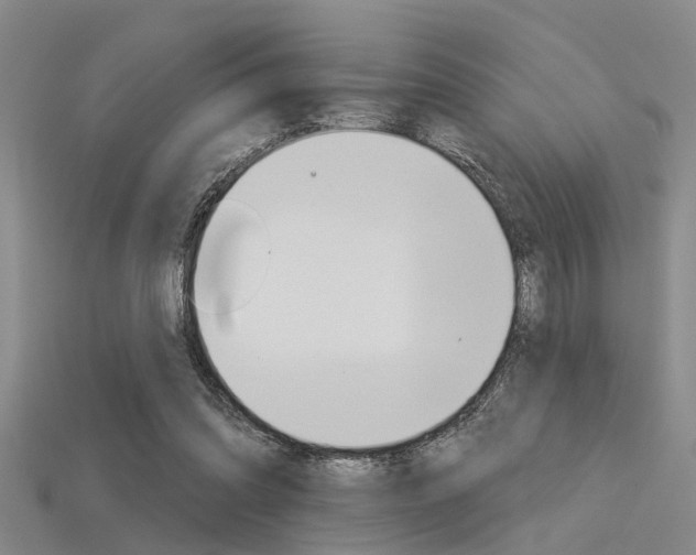 X0000115830302200911131133