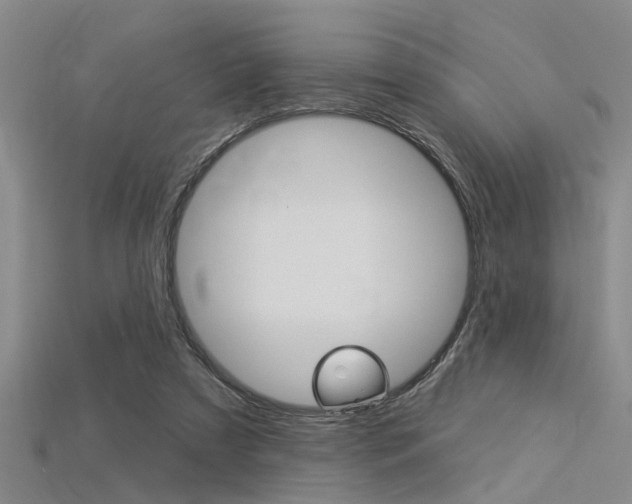 X0000115830305200911131133