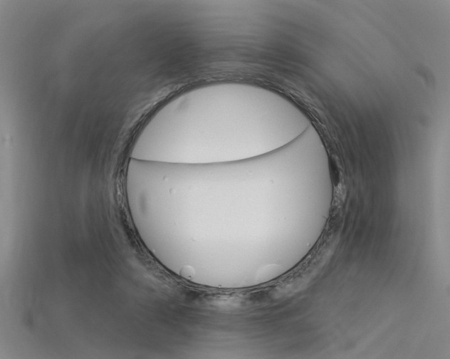 X0000115830306200911131133