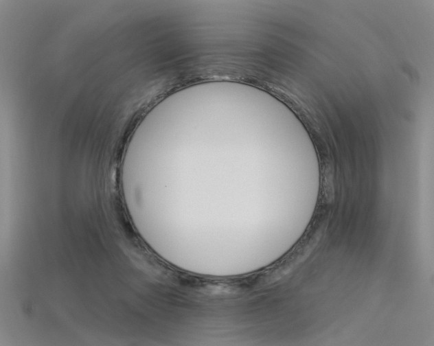 X0000115830310200911131133