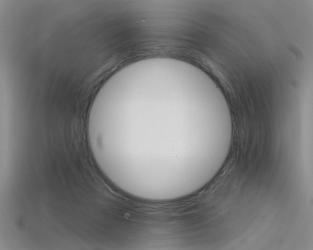 X0000115830313200911131133