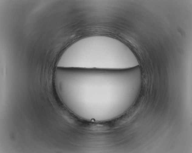 X0000115830315200911131133