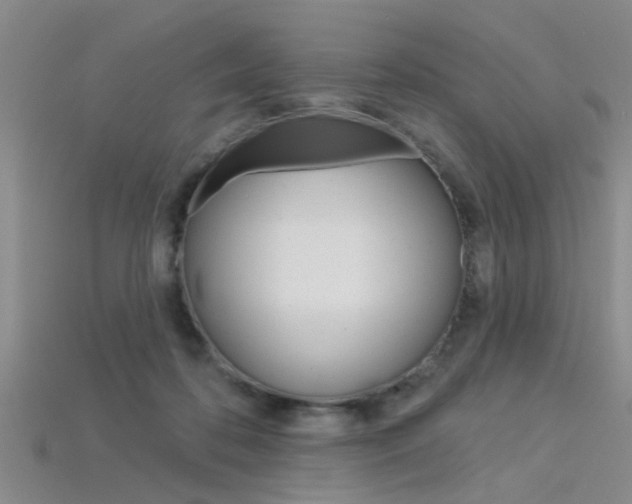 X0000115830316200911131133