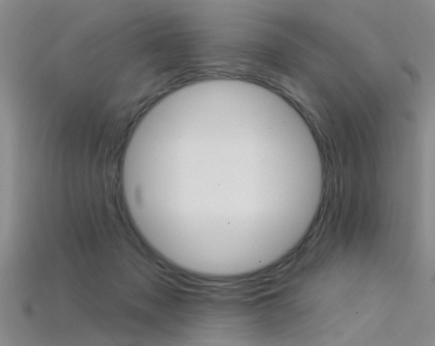 X0000115830317200911131133