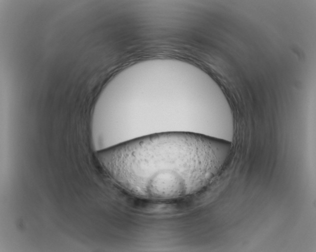 X0000115830319200911131133