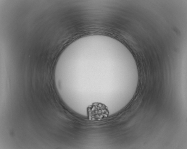 X0000115830320200911131133