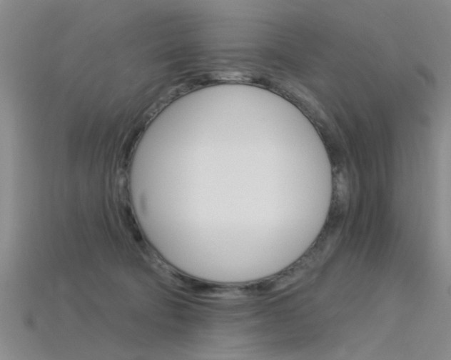 X0000115830322200911131133