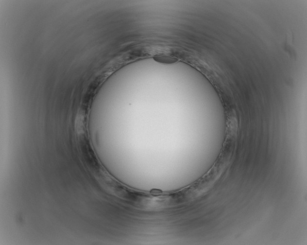 X0000115830323200911131132