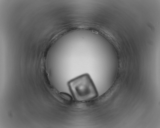 X0000115830325200911131132