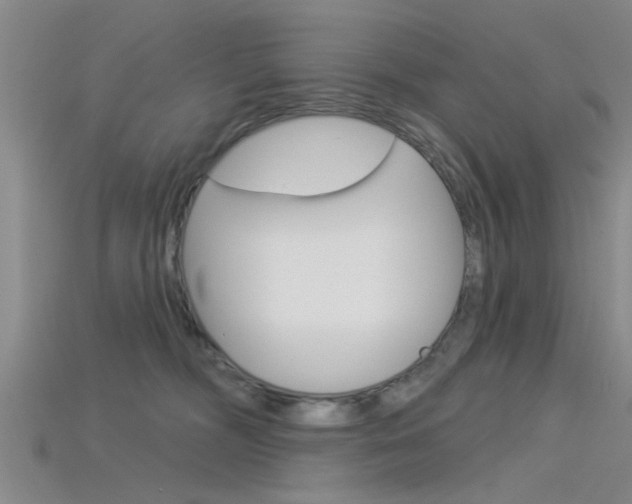 X0000115830326200911131132