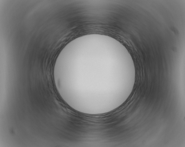 X0000115830332200911131132