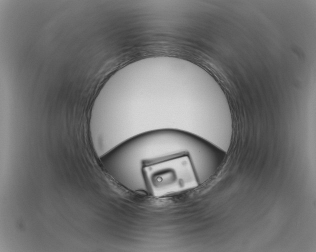 X0000115830333200911131132