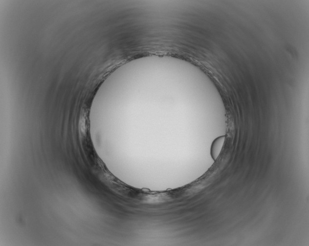 X0000115830334200911131132