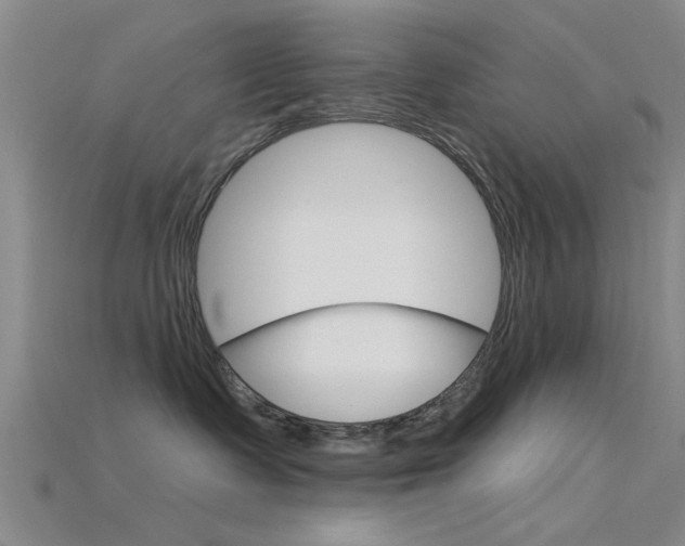 X0000115830335200911131132