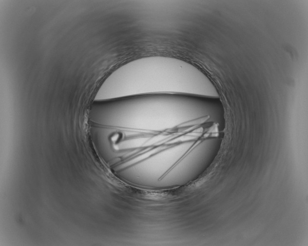 X0000115830336200911131132