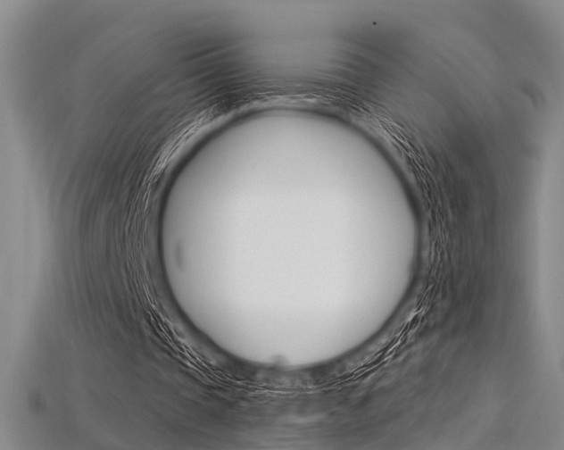X0000115830337200911131132