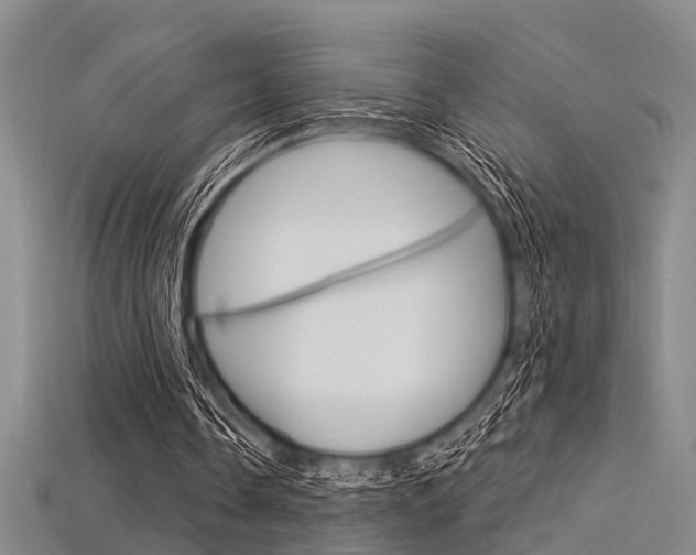 X0000115830338200911131132
