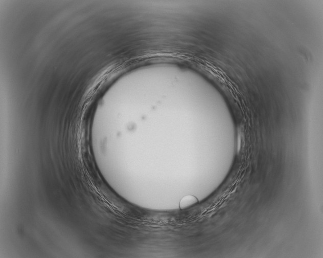 X0000115830339200911131132
